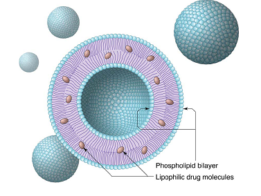 Nano Liposome Technology