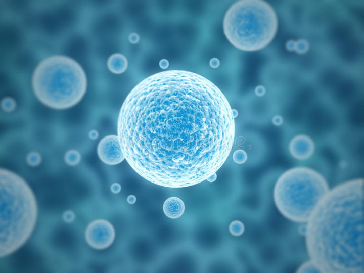 สเต็มเซลล์ โกรทแฟคเตอร์ (Stem Cell Growth Factor)