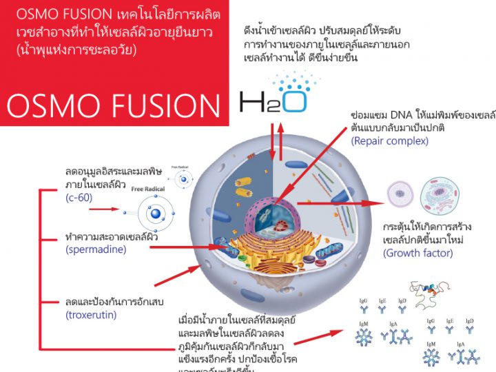 OSMO FUSION TECHNOLOGY เทคโนโลยี น้ำพุแห่งการชะลอวัยเซลล์ผิว